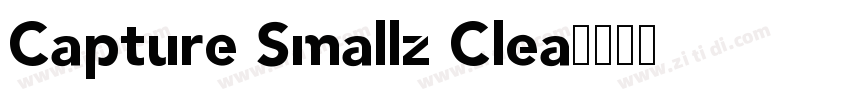 Capture Smallz Clea字体转换